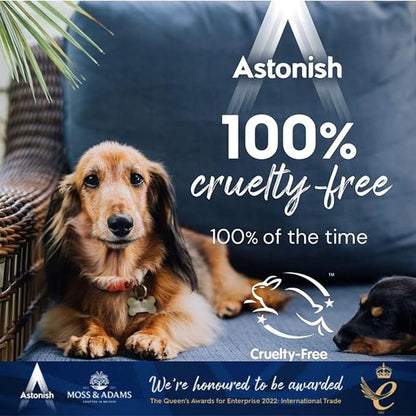 Astonish Specialist Oven & Grill Cleaner & Sponge, 250g – Powerful Degreasing Paste with Orange Oil, Restores Shine Without Harsh Chemicals – For Ovens, Grills, Racks & Toughened Glass