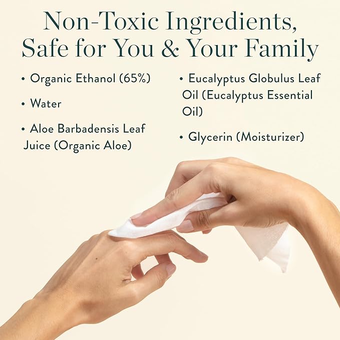 Biodegradable Hand Sanitizing Mini Wipes 8-Pack Refill Kit - Kid-Safe | Plant-Based Hand Wipes for Home & Travel | Natural, Non-Toxic Wet Wipe with Aloe for Soft Skin | Eucalyptus Chill