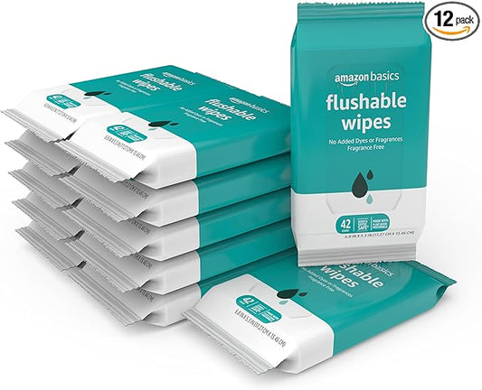 Amazon Basics Flushable Adult Toilet Wipes, Fragrance Free, 504 Count (12 Packs of 42)