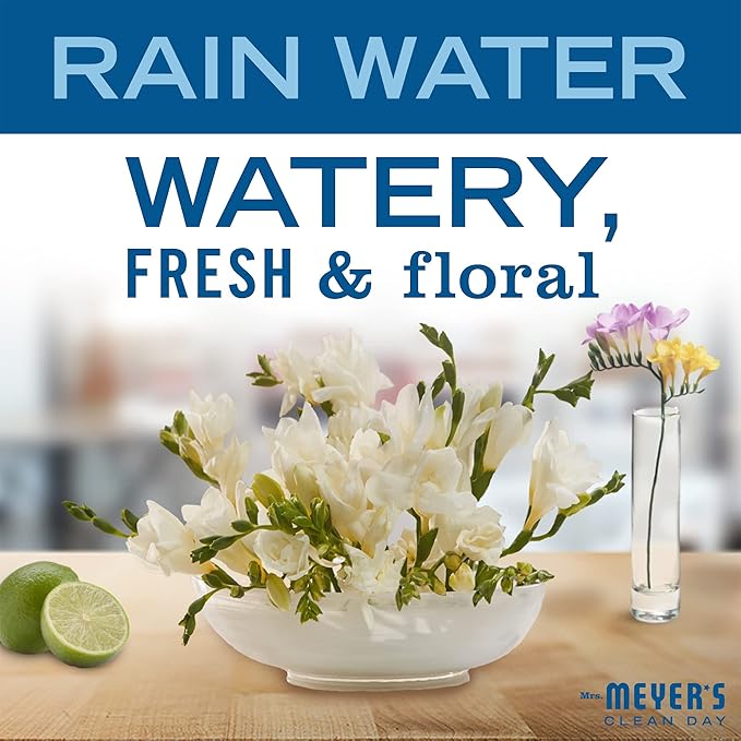 MRS. MEYER'S CLEAN DAY Liquid Dish Soap, Biodegradable Formula, Rain Water, 16 fl. oz - Pack of 3