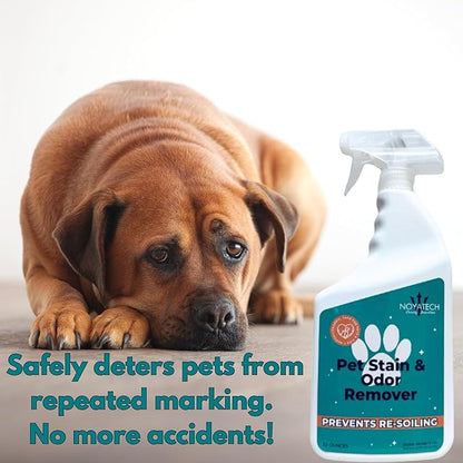 Pet Stain & Odor Remover – Fast-Acting Enzyme Cleaner for Dog & Cat Urine | Safe for Carpet, Couch, Turf, Tile & More | Non-Toxic, Kid & Pet Safe Spray 1 Gallon