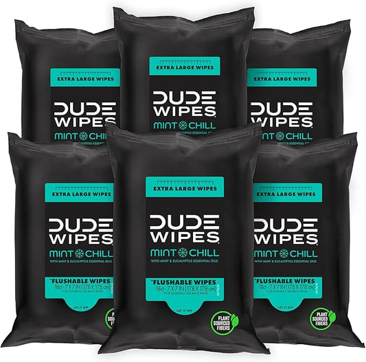 DUDE Wipes - Flushable Wipes Travel Pack - 6 Pack, 108 Wipes - Mint Chill Extra-Large Adult Wet Wipes - Vitamin-E, Aloe Vera, Eucalyptus, and Tea Tree Oils - Septic and Sewer Safe Butt Wipes