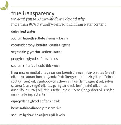 Grab Green Liquid Dish Soap, 16 Ounce (Pack of 3), Tangerine Lemongrass Scent, Biodegradable, Plant and Mineral Based, Removes Grease, Gentle on Hands