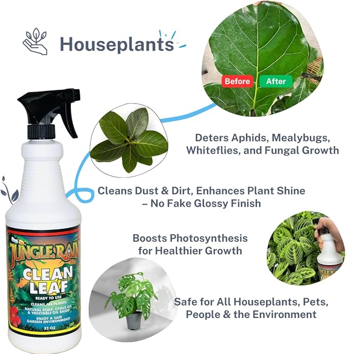 Jungle Rain Clean Leaf – Natural, Non-Toxic Plant & Tree Cleaner with Orange Oil & Castile Soap, Ready-to-Use 32oz Spray for Indoor & Outdoor Care, Defends Plants, Keeps Bugs at Bay, Since 1995