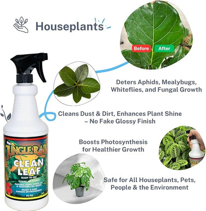 Jungle Rain Clean Leaf – Natural, Non-Toxic Plant & Tree Cleaner with Orange Oil & Castile Soap, Ready-to-Use 32oz Spray for Indoor & Outdoor Care, Defends Plants, Keeps Bugs at Bay, Since 1995