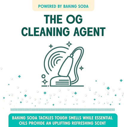 Aunt Fannie's Sink Refresher, Bright Lemon Powder Scrub and Odor Minimizer for Sinks, Drains and Garbage Disposals, 16 Ounces (Pack of 1)