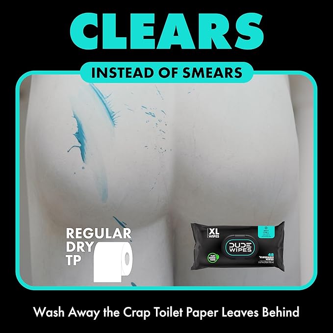 DUDE Wipes - On-The-Go Flushable Wipes - 48 Count (Pack of 2) - Mint Chill Extra-Large Individually Wrapped Adult Wet Wipes with Eucalyptus & Tea Tree Oil - Septic and Sewer Safe