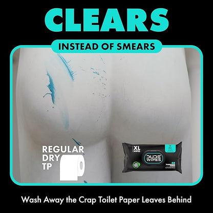DUDE Wipes - On-The-Go Flushable Wipes - 48 Count (Pack of 2) - Mint Chill Extra-Large Individually Wrapped Adult Wet Wipes with Eucalyptus & Tea Tree Oil - Septic and Sewer Safe