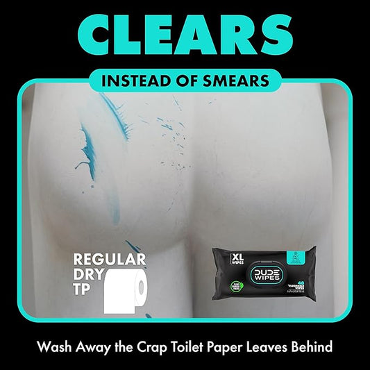 DUDE Wipes - On-The-Go Flushable Wipes - 48 Count (Pack of 2) - Mint Chill Extra-Large Individually Wrapped Adult Wet Wipes with Eucalyptus & Tea Tree Oil - Septic and Sewer Safe