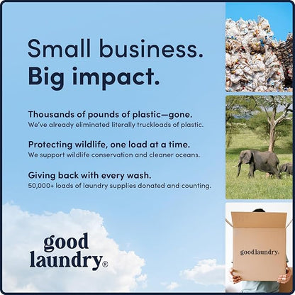 Eco-Friendly Lavender Scented Detergent Sheets (60 Loads) - Hypoallergenic, Zero-Waste Laundry Solution - No Plastic Jugs, Biodegradable & Vegan, Gentle on Skin - Based in the USA