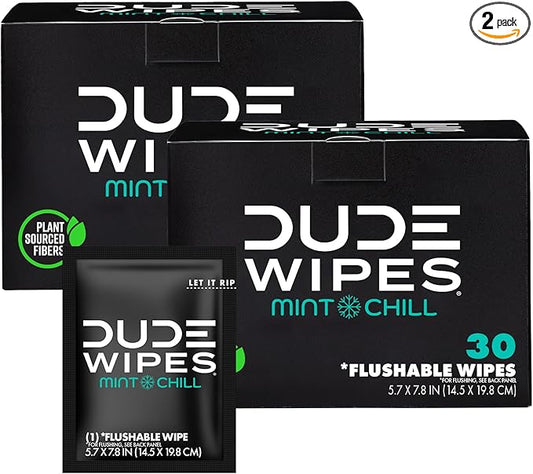 DUDE Wipes - On-The-Go Flushable Wipes - 48 Count (Pack of 2) - Mint Chill Extra-Large Individually Wrapped Adult Wet Wipes with Eucalyptus & Tea Tree Oil - Septic and Sewer Safe
