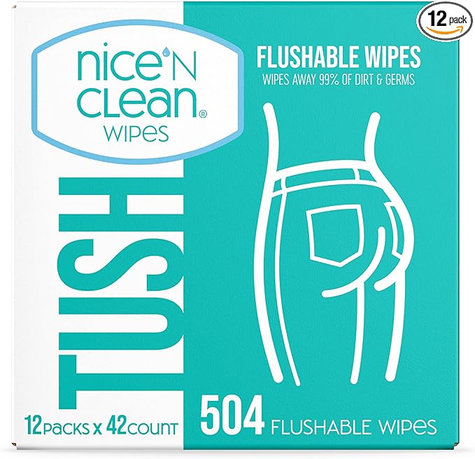 Nice 'N Clean Adult Flushable Wipes (12 x 42 Count) | Personal Cleansing Wipes Made from Plant-Based Fibers | Infused with Aloe & Vitamin E