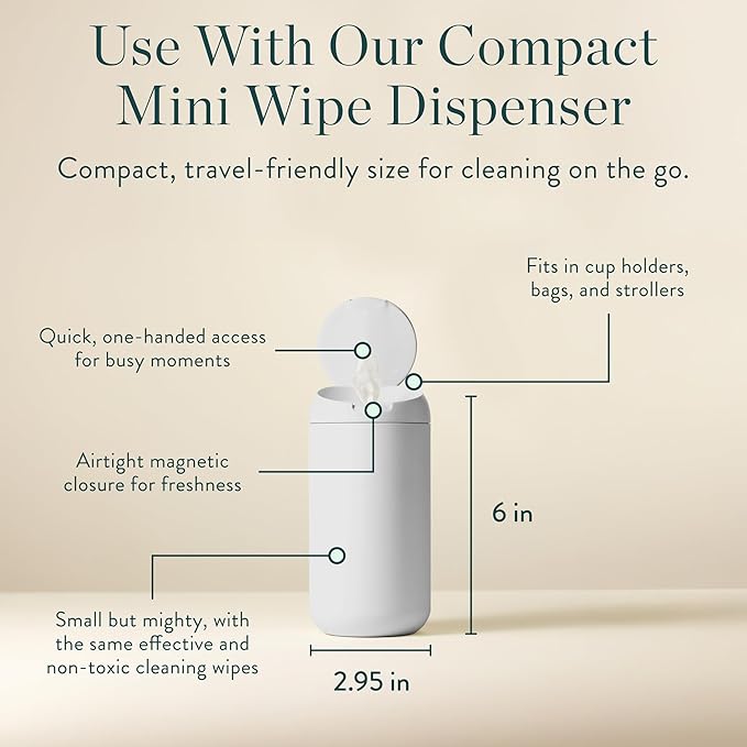 Biodegradable Hand Sanitizing Mini Wipes 8-Pack Refill Kit - Kid-Safe | Plant-Based Hand Wipes for Home & Travel | Natural, Non-Toxic Wet Wipe with Aloe for Soft Skin | Eucalyptus Chill