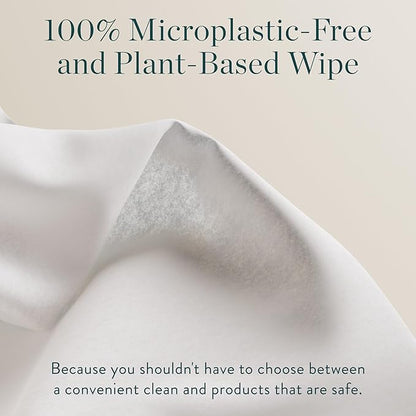Biodegradable Hand Sanitizing Mini Wipes 8-Pack Refill Kit - Kid-Safe | Plant-Based Hand Wipes for Home & Travel | Natural, Non-Toxic Wet Wipe with Aloe for Soft Skin | Eucalyptus Chill