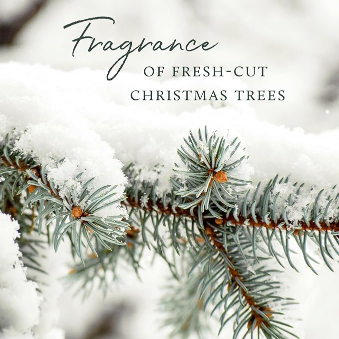 Thymes Soft Surface Scrub - Frasier Fir - Multipurpose Surface Cleaner - - Pine Scented Stain Remover with Baking Soda, Fennel & Parsley Extracts - Gentle Yet Effective Household Cleaner - 11.5 Fl Oz