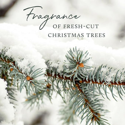 Thymes Soft Surface Scrub - Frasier Fir - Multipurpose Surface Cleaner - - Pine Scented Stain Remover with Baking Soda, Fennel & Parsley Extracts - Gentle Yet Effective Household Cleaner - 11.5 Fl Oz