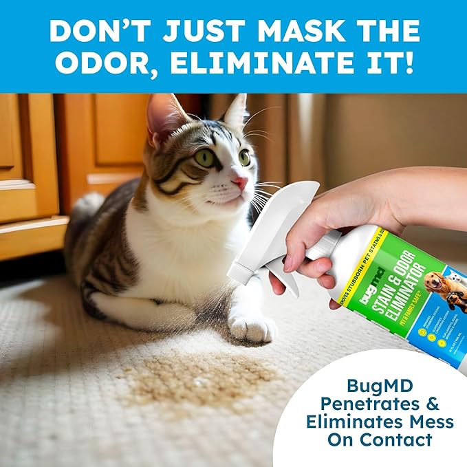 BugMD Pet Odor Eliminator & Stain Remover Spray for Dogs & Cats, 32 oz - Enzymatic Cleaner & Urine Odor Destroyer, Unscented Formula Eliminates Strong Odors