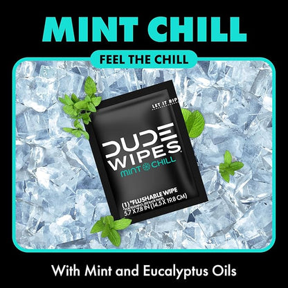 DUDE Wipes - On-The-Go Flushable Wipes - 48 Count (Pack of 2) - Mint Chill Extra-Large Individually Wrapped Adult Wet Wipes with Eucalyptus & Tea Tree Oil - Septic and Sewer Safe