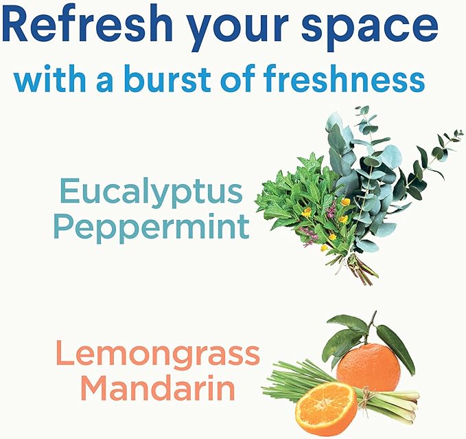 Clorox Disinfecting Mist, Lemongrass Mandarin, Household Essentials, 3 Refills, 16 Fl Oz Each