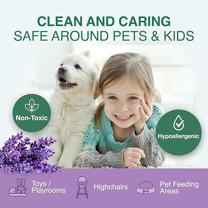 Good Natured Brand All-Purpose Cleaner Concentrate + 16 oz Bottle | Multi-Surface Cleaner | Natural Lavender Essential Oil | Multipurpose Cleaner | 4oz makes 64oz