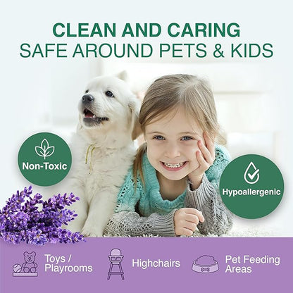 Good Natured Brand All-Purpose Cleaner Concentrate + 16 oz Bottle | Multi-Surface Cleaner | Natural Lavender Essential Oil | Multipurpose Cleaner | 4oz makes 64oz
