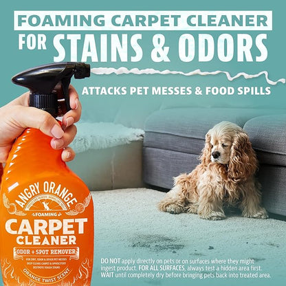 ANGRY ORANGE Foaming Carpet & Upholstery Cleaner for Dog Urine and Stains - Citrus - 24 oz - Value 2 Pack