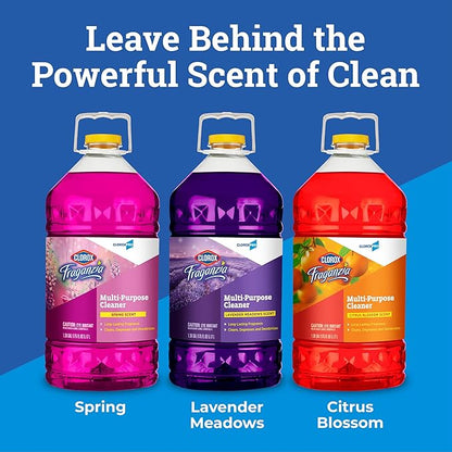 CloroxPro Fraganzia Multi-Purpose Cleaner, Spring Scent, 175 Fluid Ounces (Package May Vary)