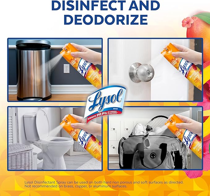 Lysol Disinfectant Spray, Sanitizing and Antibacterial Spray, For Disinfecting and Deodorizing, Mango & Hibiscus, 19 Fl. Oz (Pack of 2)