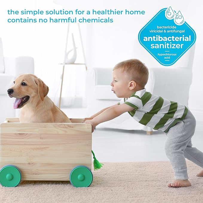 BRIOTECH Sanitizer Disinfectant Hypochlorous Spray, Kills 99.99% of Viruses & Bacteria, Eliminate Odor, Gentle for Nurseries & Play Rooms, Food Contact Surface Sanitizer, 32 fl oz ea, 12 ct