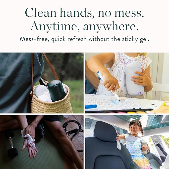 Biodegradable Hand Sanitizing Mini Wipes 8-Pack Refill Kit - Kid-Safe | Plant-Based Hand Wipes for Home & Travel | Natural, Non-Toxic Wet Wipe with Aloe for Soft Skin | Eucalyptus Chill