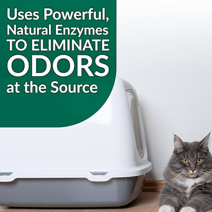 Simple Green Cat Stain & Odor Remover - Enzyme Cleaner for Cat Urine, Feces, Blood, Vomit (1 Gallon Refill) (Pack of 2)