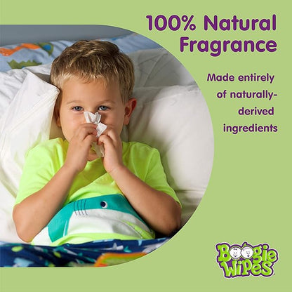 Boogie Wipes, Saline Wipes for Baby & Kids, Nose Booger Wipes for Allergy Relief, Face, Hand & Body, Made with Vitamin E, Aloe and Natural Saline, Fresh Scent, 45 Count (Pack of 2)