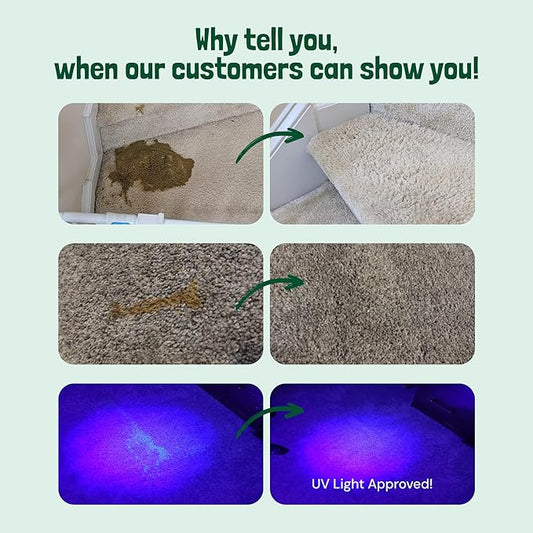 Sunny & Honey Pet Stain & Odor Miracle - Enzyme Cleaner for Dog Urine & Cat Pee - Surface Deodorizer for Pet Waste Odors - Upholstery Cleaner - Carpet Deodorizer (128 Fl Oz, Spring Mint Scent)