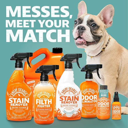 ANGRY ORANGE Foaming Carpet & Upholstery Cleaner for Dog Urine and Stains - Citrus - 24 oz