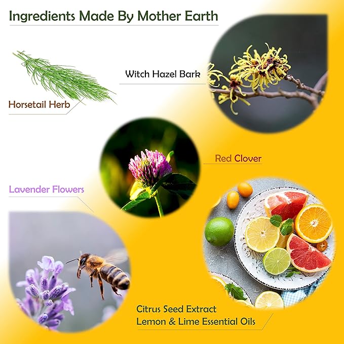 100% Organic All Purpose Cleaner | Household Cleaning | Multi Surface | Glass | Kitchen Countertop | Bathroom Toilet Tub & Shower | Non Toxic | Hypoallergenic | Hyper Concentrated | Tangerine
