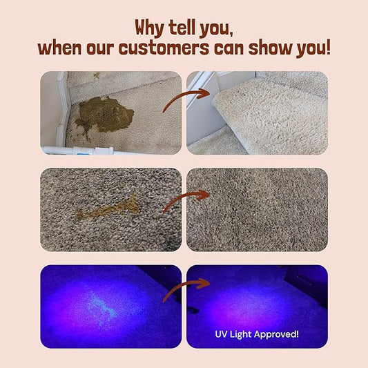 Sunny & Honey Pet Stain & Odor Miracle - Enzyme Cleaner for Dog Urine & Cat Pee - Pet Odor & Stain Remover for Carpet, Mattress, Furniture - Upholstery Cleaner & Deodorizer (1 Gallon, Fall Spice)