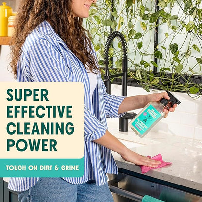 Aunt Fannie's Kitchen Bundle, Includes Lavender All-Purpose Spray, Eucalyptus Wipes, Lemon Sink Refresher, FlyPunch, & Eucalyptus Floor Cleaner