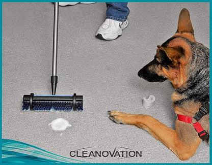 Rug Renovator Floor Scrub Brush with Long Handle, Scrape Brush Stiff Bristle Scrubber, Cleaning for carpet pet stains and odors, 32 Fl oz Carpet Shampoo